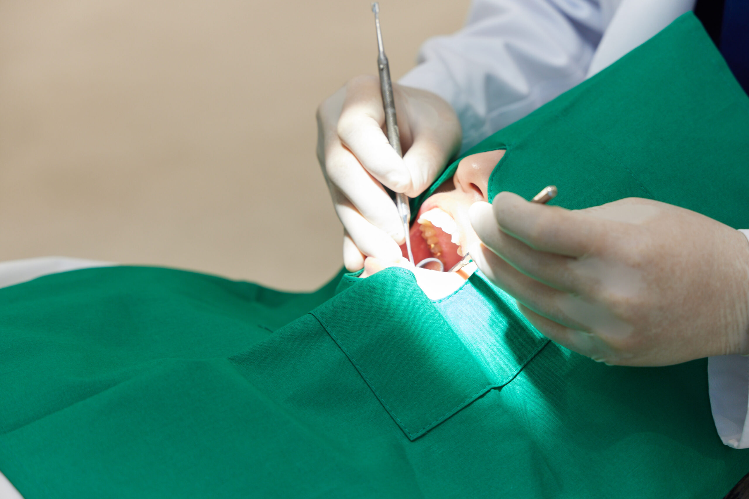 평생 관리 시스템